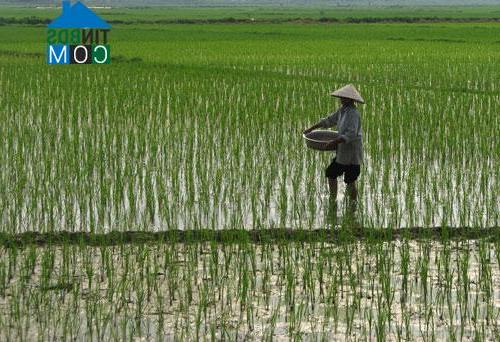 Hình ảnh Tiên Du, Bắc Ninh
