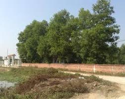 Hình ảnh Phương Liễu, Bắc Ninh