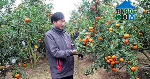 Hình ảnh Phượng Sơn, Bắc Ninh