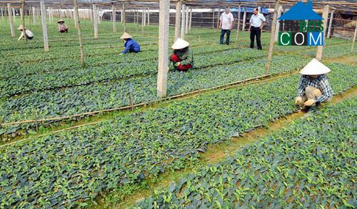 Hình ảnh Tam Tiến, Bắc Ninh