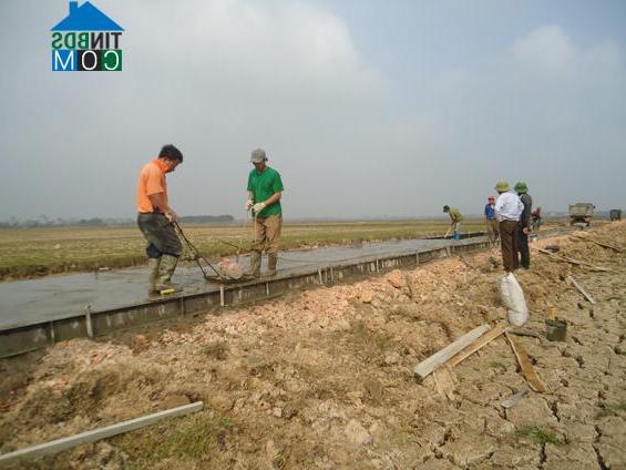 Hình ảnh Tân Tiến, Bắc Ninh