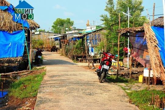 Hình ảnh Đất Mũi, Cà Mau