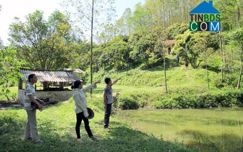 Hình ảnh Xuân Lương, Bắc Ninh