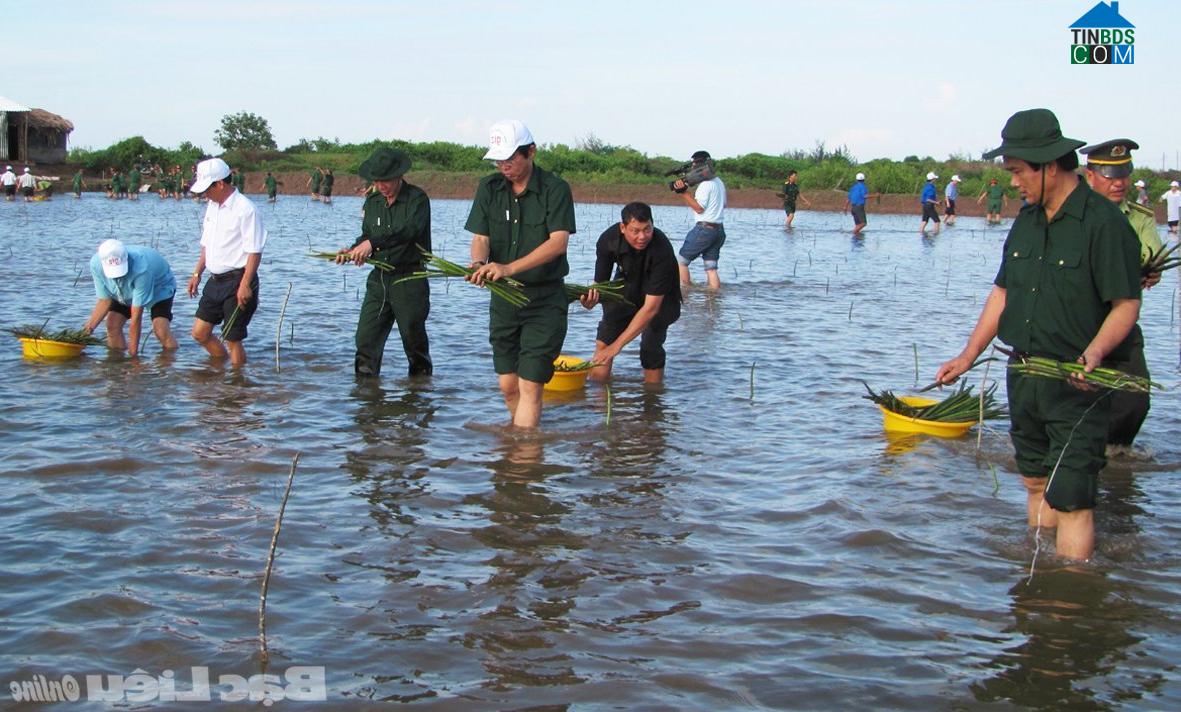Hình ảnh Vĩnh Hậu, Cà Mau