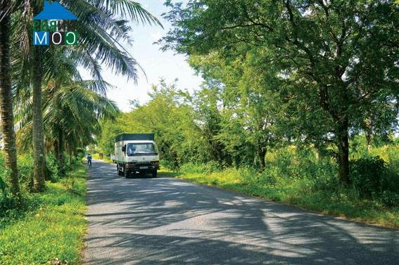 Hình ảnh Lương Thế Trân, Cà Mau