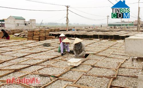 Hình ảnh Quỳnh Mai, Nghệ An