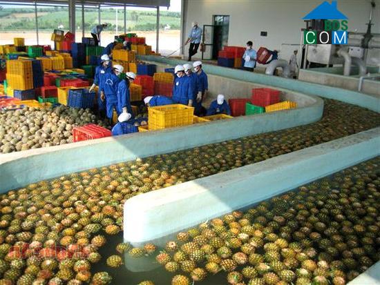 Hình ảnh Quỳnh Tam, Nghệ An