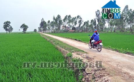 Hình ảnh Quỳnh Văn, Nghệ An