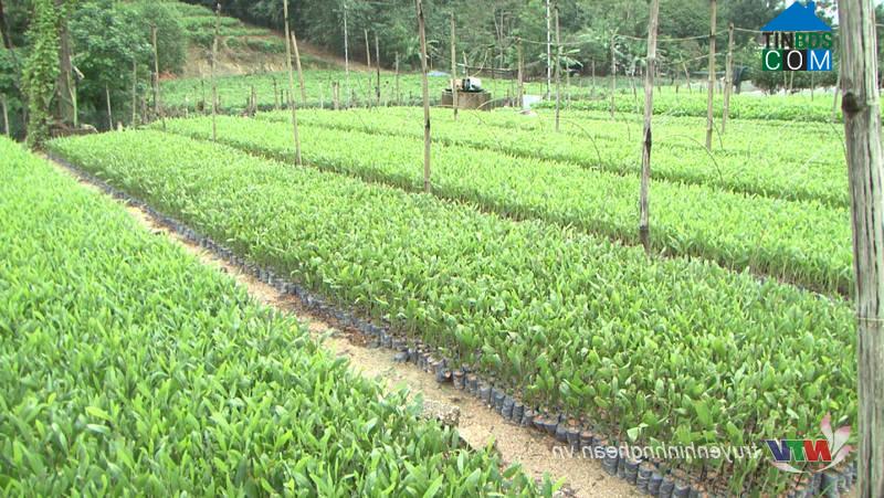 Hình ảnh Tam Đồng, Nghệ An