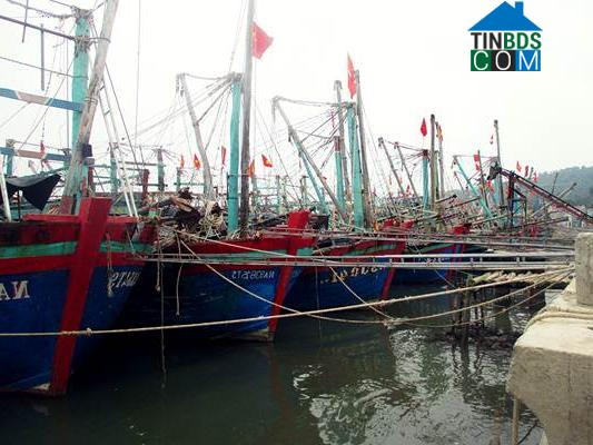 Hình ảnh Tân Mai, Nghệ An