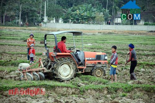 Hình ảnh Tân Phú, Nghệ An