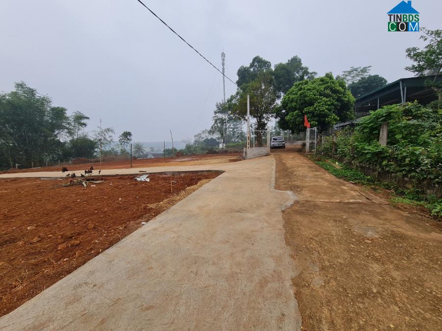 Hình ảnh Tây Hiếu, Nghệ An