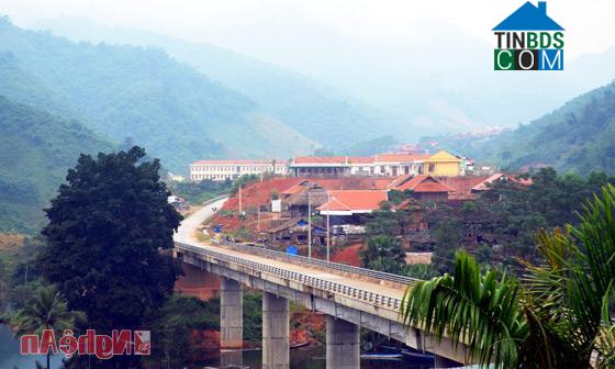 Hình ảnh Thông Thụ, Nghệ An