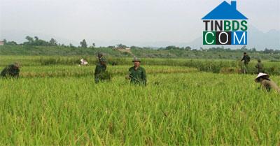 Hình ảnh Gia Hưng, Ninh Bình