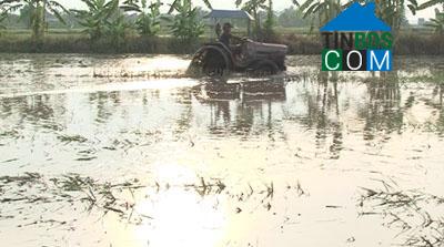 Hình ảnh Yên Thắng, Ninh Bình