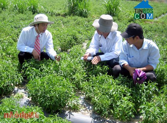 Hình ảnh Mường Chọng, Nghệ An