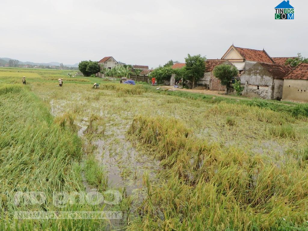 Hình ảnh Quỳnh Sơn, Nghệ An