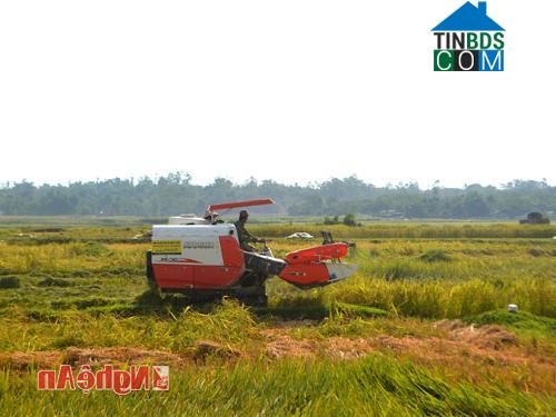 Hình ảnh Bích Hào, Nghệ An