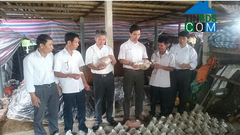 Hình ảnh Yên Từ, Ninh Bình