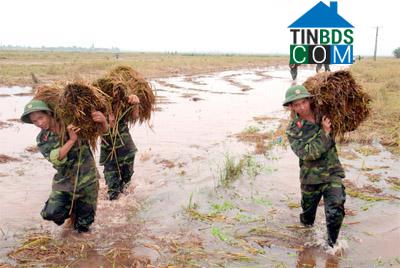 Hình ảnh Chất Bình, Ninh Bình