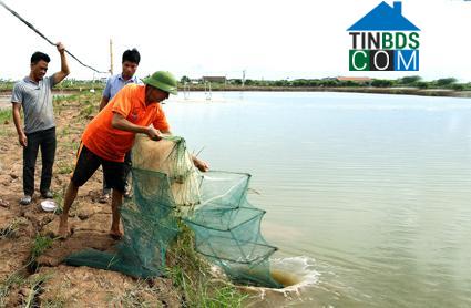 Hình ảnh Định Hóa, Ninh Bình