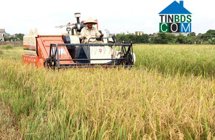 Hình ảnh Đông Hoa Lư, Ninh Bình