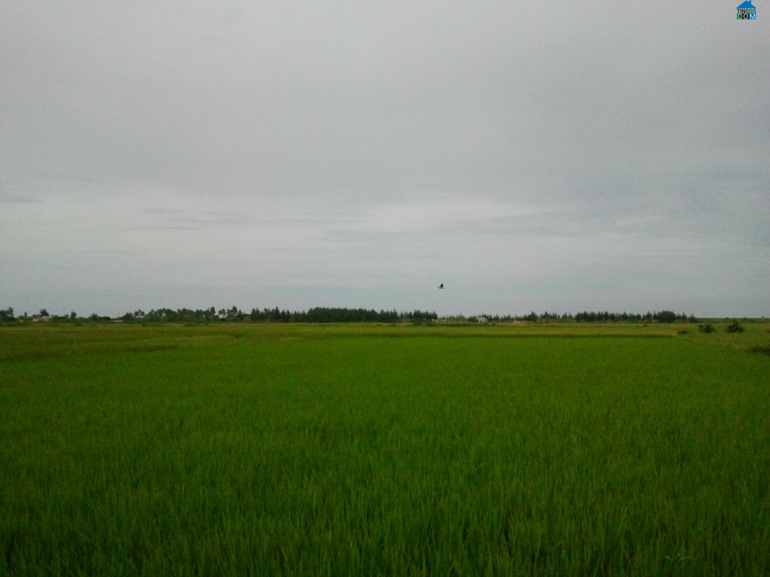 Hình ảnh Giao Hòa, Ninh Bình