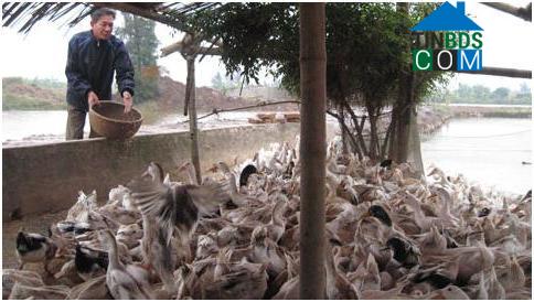 Hình ảnh Giao Hưng, Ninh Bình