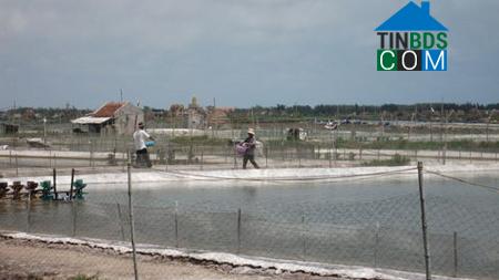 Hình ảnh Hải Quang, Ninh Bình