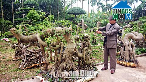 Hình ảnh Hải Tiến, Ninh Bình