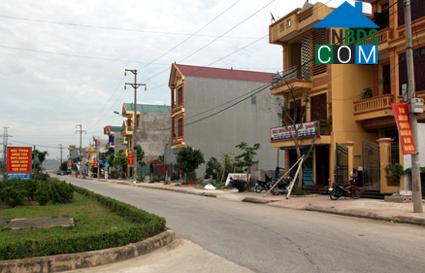 Hình ảnh Hoa Lư, Ninh Bình