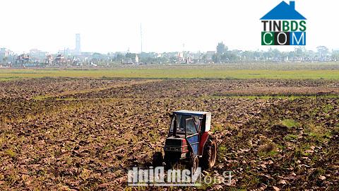 Hình ảnh Hồng Phong, Ninh Bình
