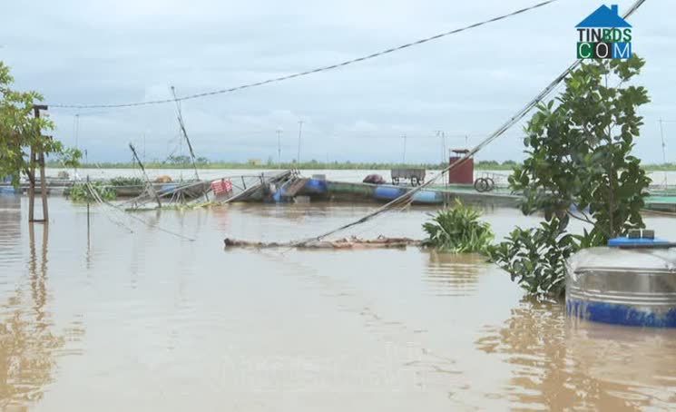 Hình ảnh Nam Lý, Ninh Bình