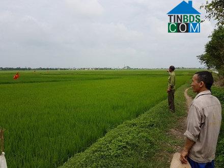 Hình ảnh Nam Ninh, Ninh Bình