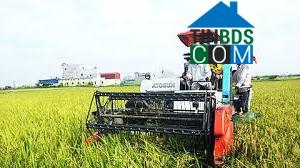 Hình ảnh Nam Trực, Ninh Bình