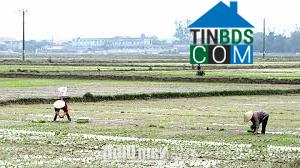 Hình ảnh Nghĩa Hưng, Ninh Bình