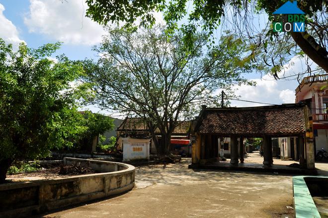 Hình ảnh Ninh Giang, Ninh Bình