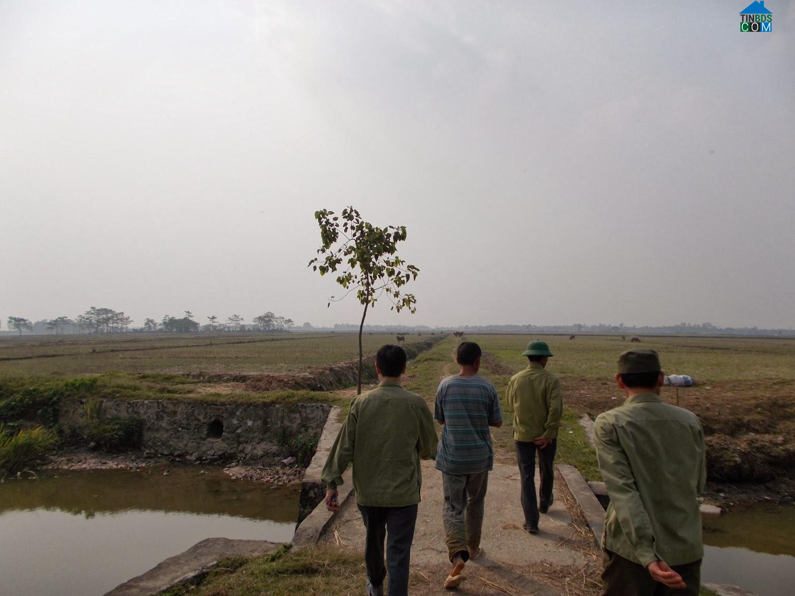 Hình ảnh Phong Doanh, Ninh Bình