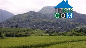 Hình ảnh Yên Trị, Phú Thọ