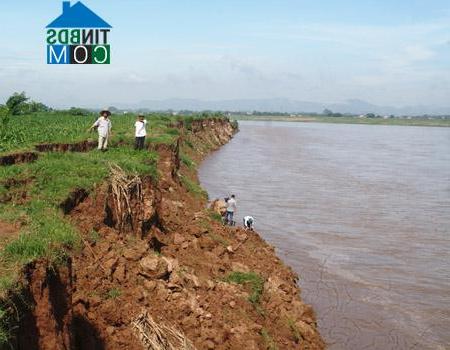 Hình ảnh Bản Nguyên, Phú Thọ