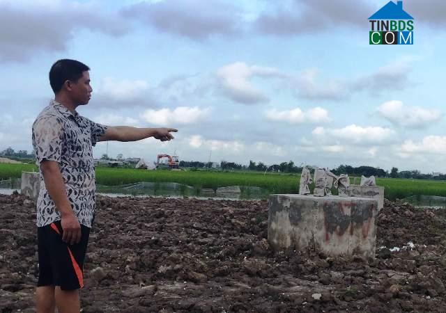 Hình ảnh Thành Nam, Ninh Bình