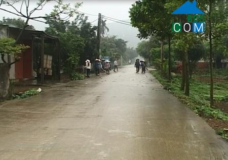 Hình ảnh Thanh Sơn, Ninh Bình