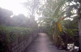 Hình ảnh Trần Thương, Ninh Bình