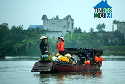 Hình ảnh Vị Khê, Ninh Bình