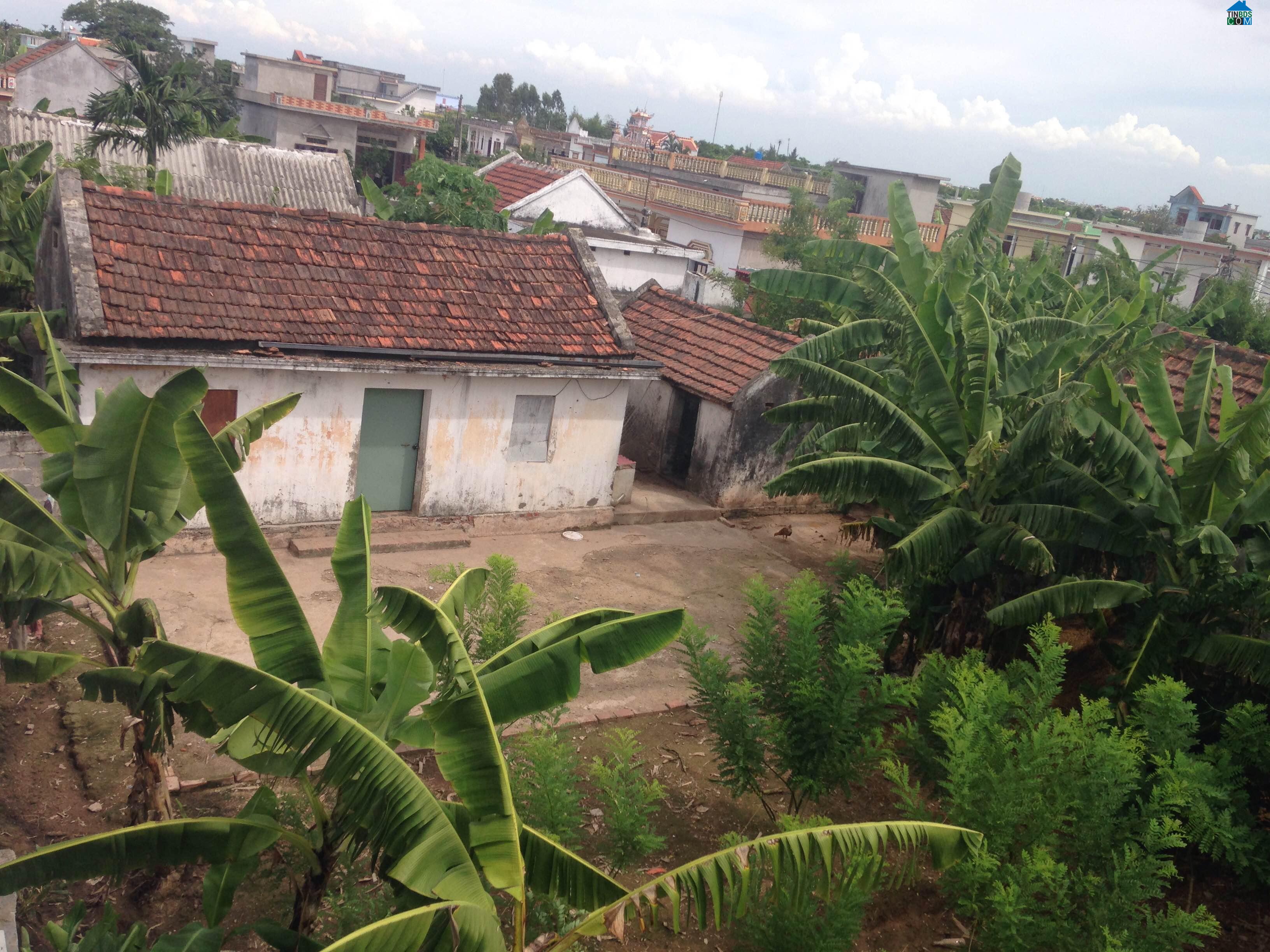 Hình ảnh Xuân Giang, Ninh Bình