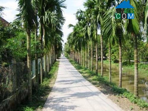 Hình ảnh Hải Anh, Ninh Bình