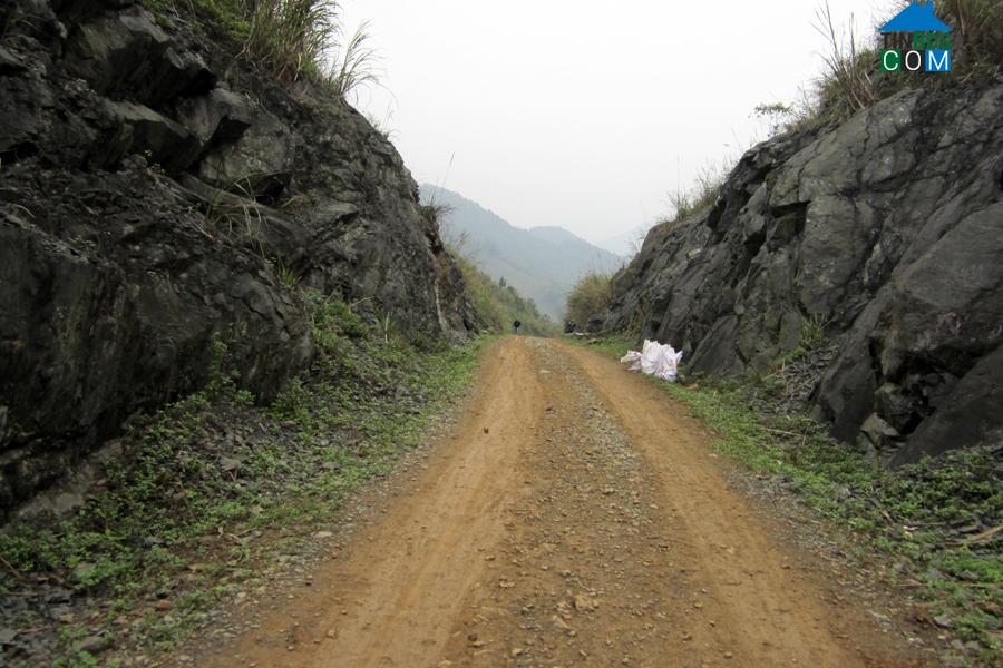 Hình ảnh Hợp Kim, Phú Thọ