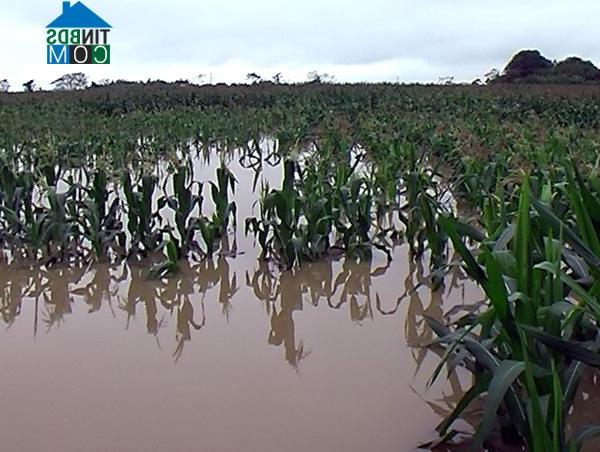 Hình ảnh Hợp Lý, Phú Thọ