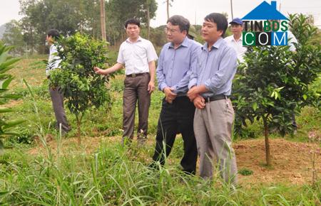 Hình ảnh Dũng Tiến, Phú Thọ