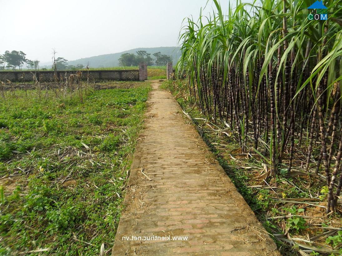 Hình ảnh Kim Bôi, Phú Thọ